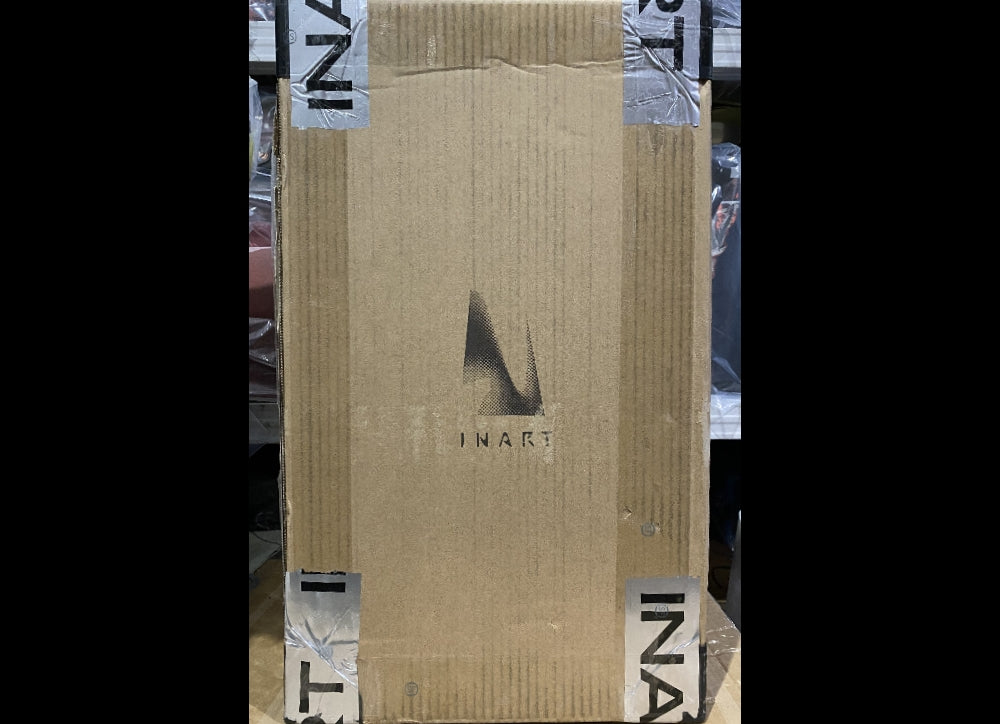 Ready! InArt A010D1 Ron Weasley 1/6 Figure Deluxe Version