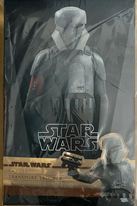 In Stock! Hot Toys TMS030 STAR WARS: THE MANDALORIAN 1/6 TRANSPORT Trooper