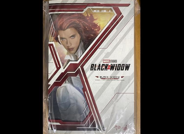 Ready! Hot Toys MMS601 Black Widow 1/6 Black Widow Snow Suit Version