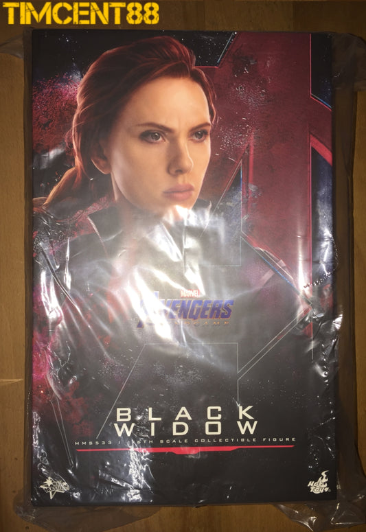 In Stock! Hot Toys MMS533 AVENGERS: ENDGAME 1/6 BLACK WIDOW