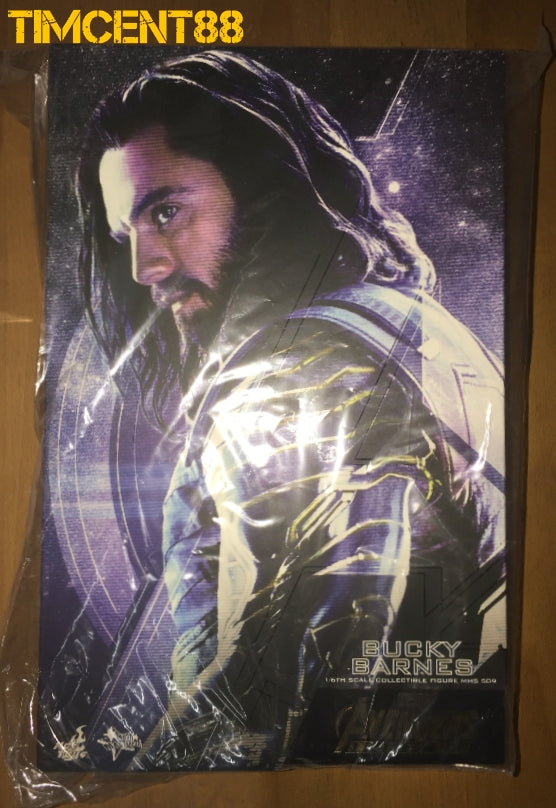 Ready! Hot Toys MMS509 AVENGERS: INFINITY WAR 1/6 BUCKY BARNES