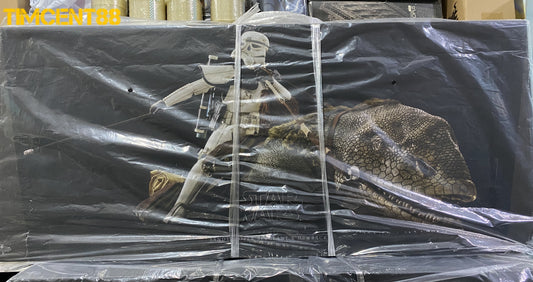 Ready! Hot Toys MMS722 Star Wars IV : A New Hope Sandtrooper Sergeant & Dewback