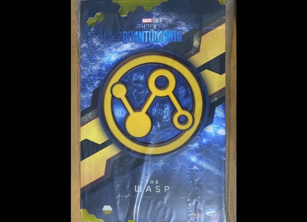 Ready! Hot Toys MMS691 ANT-MAN AND THE WASP: QUANTUMANIA 1/6 WASP