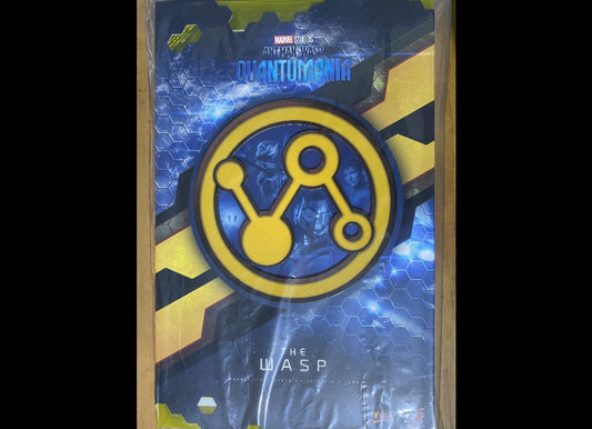 Ready! Hot Toys MMS691 ANT-MAN AND THE WASP: QUANTUMANIA 1/6 WASP