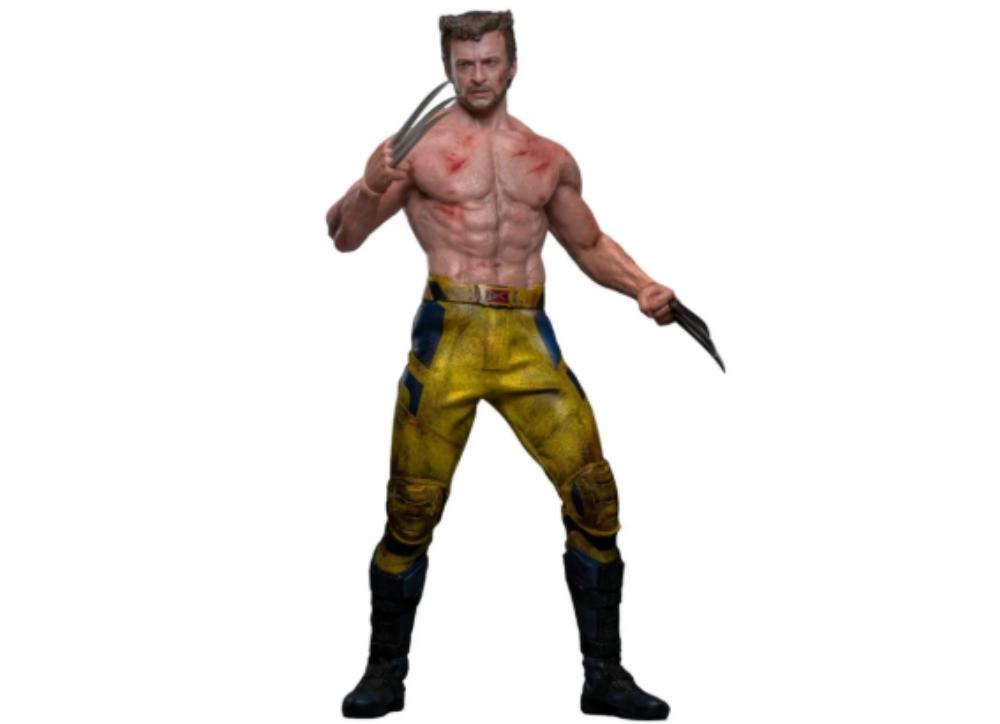 Ready! Hot Toys MMS756 Deadpool & Wolverine 1/6 Wolverine (TVA Jacket)