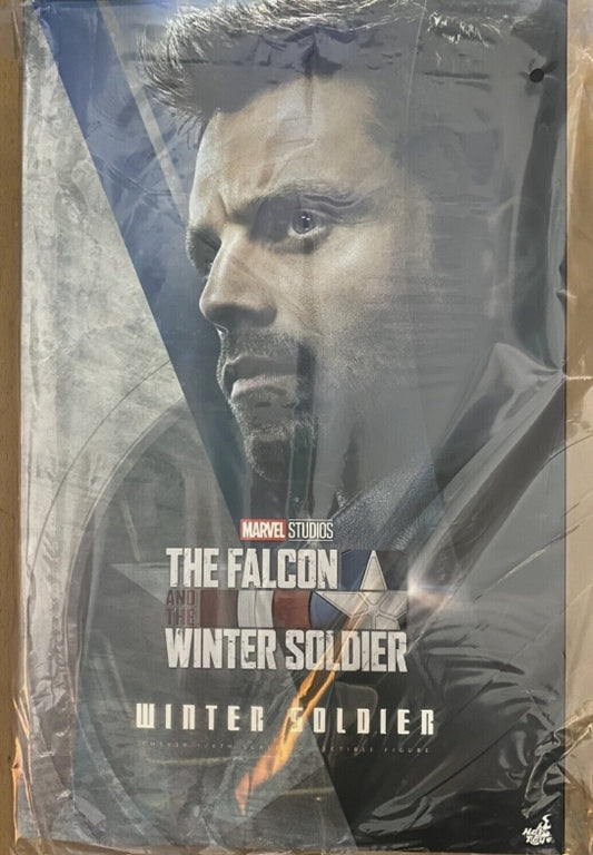 Ready! Hot Toys TMS039 The Falcon and the Winter Soldier 1/6 Winter Soldier