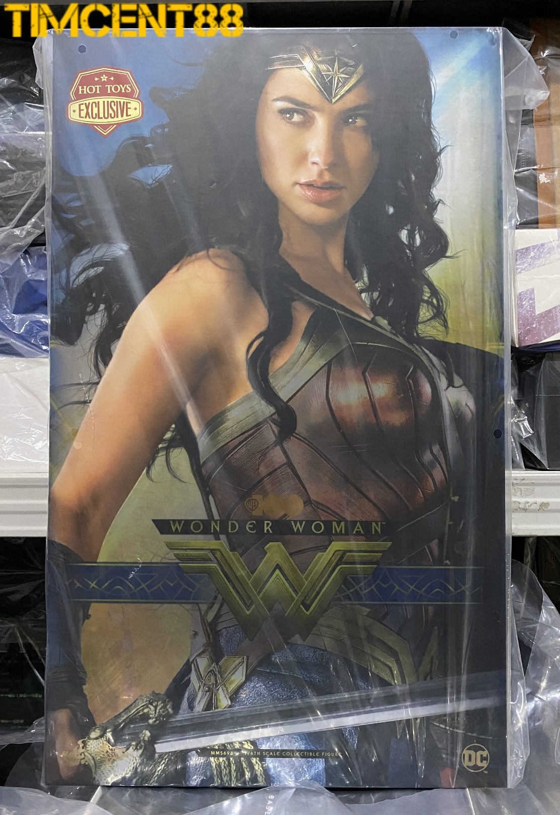 Ready! Hot Toys MMS698 WB 100 1/6 WONDER WOMAN EXCLUSIVE