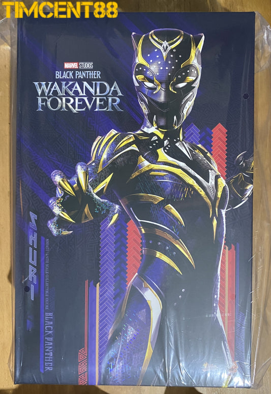 Ready! Hot Toys MMS675 WAKANDA FOREVER 1/6 BLACK PANTHER