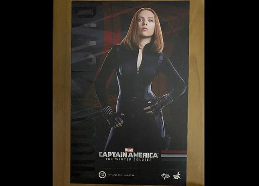 Unused! Hot Toys MMS239  1/6 BLACK WIDOW (leather issue) Non-refundable