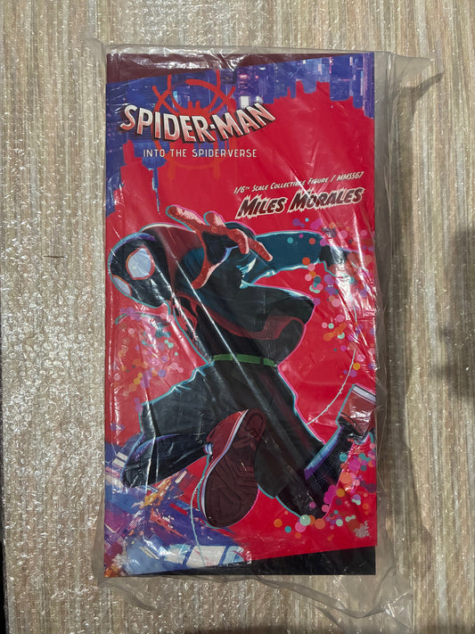 Ready! Hot Toys MMS567 SPIDER-MAN: INTO THE SPIDER-VERSE 1/6 MILES MORALES