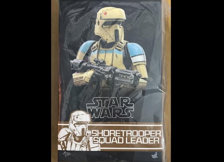 In Stock! Hot Toys MMS592 ROGUE ONE: A STAR WARS STORY SHORETROOPER SQUAD LEADER