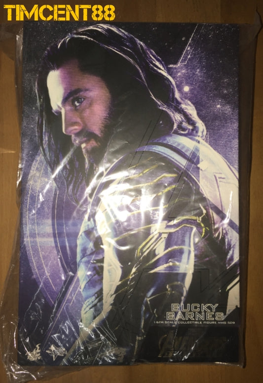 Ready! Hot Toys MMS509 AVENGERS: INFINITY WAR 1/6 BUCKY BARNES
