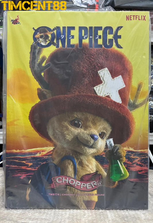 Ready! Hot Toys TMS174 One Piece Chopper