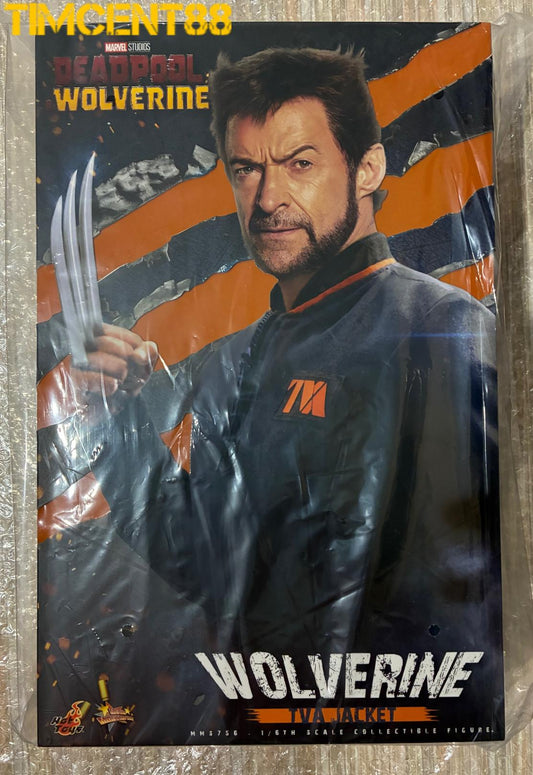 Ready! Hot Toys MMS756 Deadpool & Wolverine 1/6 Wolverine (TVA Jacket)